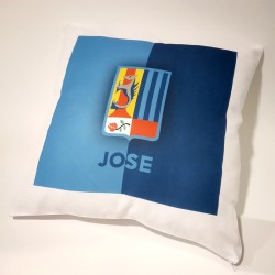 Cojín personalizado 40x40cm.